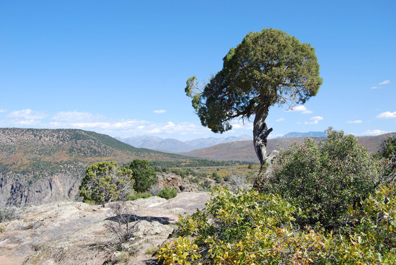 Black Canyon of the Gunnison National Park