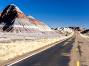 Petrified Forest National Park