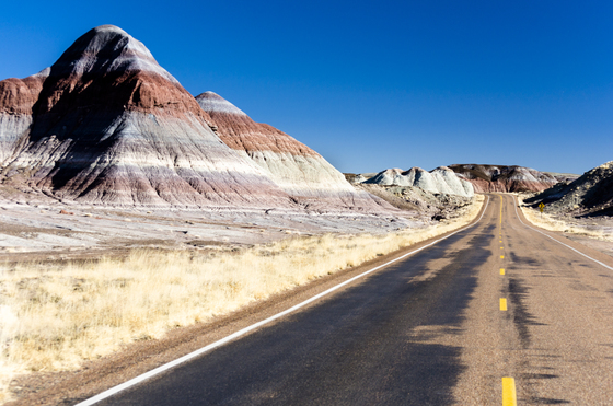 Petrified Forest National Park