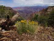 Grand Canyon National Park
