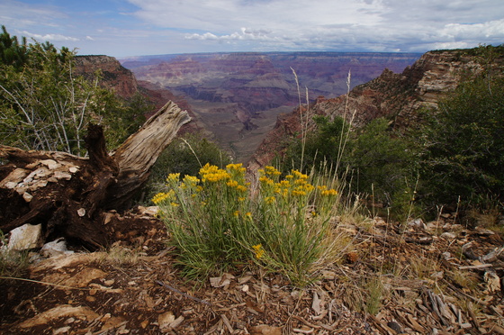 Grand Canyon National Park