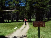 Yosemite National Park