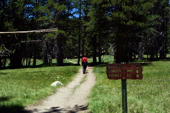 Yosemite National Park
