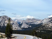 Yosemite National Park