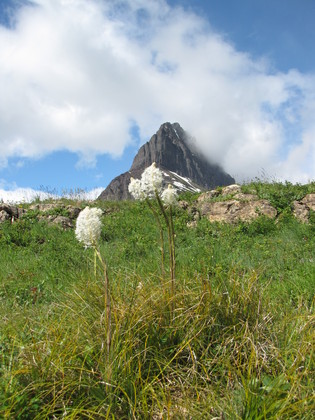 Glacier National Park