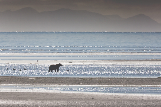 Katmai National Park
