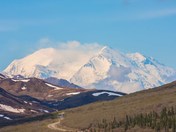 Denali National Park
