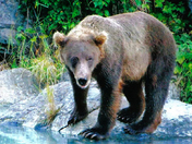 Lake Clark National Park
