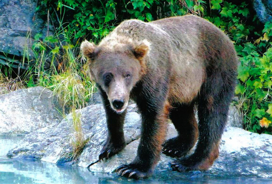 Lake Clark National Park