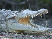 Everglades National Park