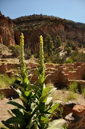 bandelier national monument