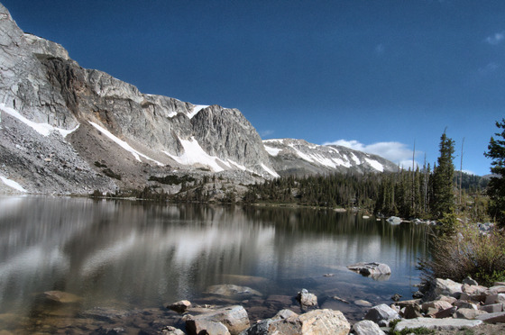 Medicine Bow National Forest
