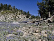 Lassen Volcanic National Park