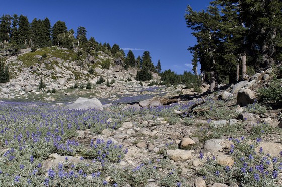 Lassen Volcanic National Park