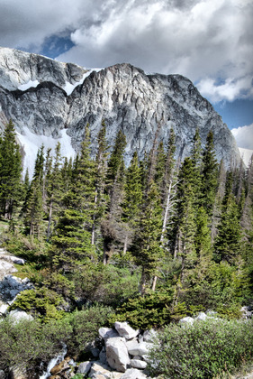 Medicine Bow National Forest