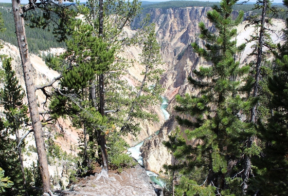 Yellowstone National Park