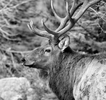 Rocky Mountain National Park