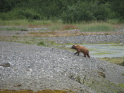 Glacier Bay National Park