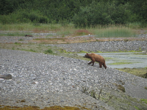 Glacier Bay National Park
