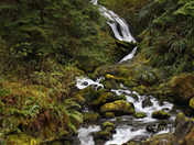 Olympic National Park