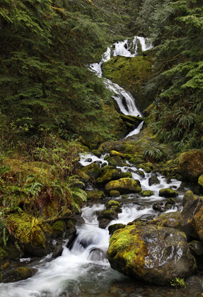 Olympic National Park