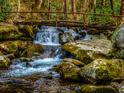 Great Smoky Mountains National Park