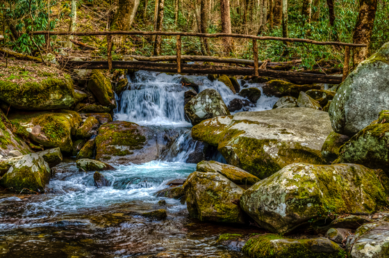 Great Smoky Mountains National Park