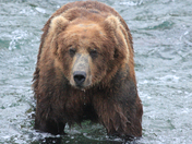 Katmai National Park, Alaska