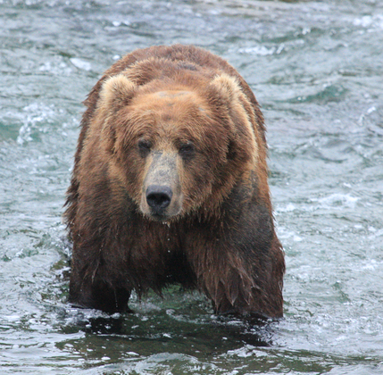 Katmai National Park, Alaska