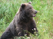 Katmai National Park