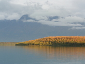 Katmai National Park