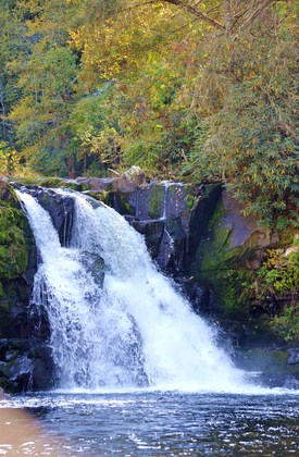 Smokey Mountains National Park