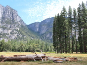 Yosemite National Park