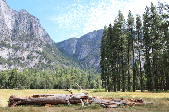Yosemite National Park