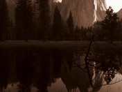 Yosemite National Park