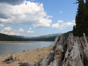 French Meadows BLM