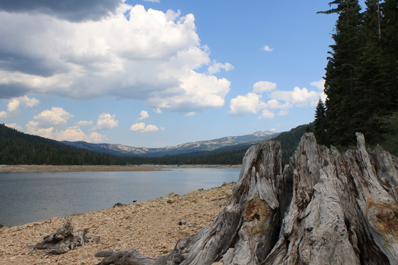 French Meadows BLM