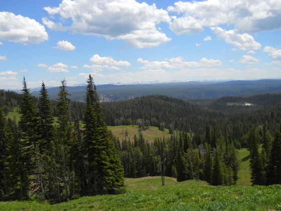 Yellowstone National Park