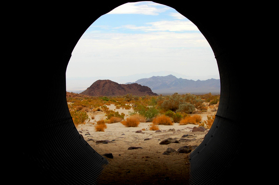 Mojave National Preserve