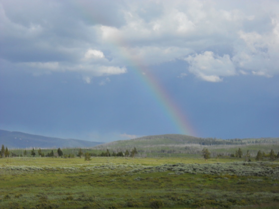 Yellowstone National Park