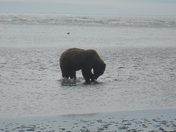 Lake Clark National Park