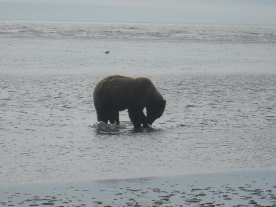 Lake Clark National Park