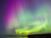 Shades of Purple, Aurora, Slave Lake, Alberta
