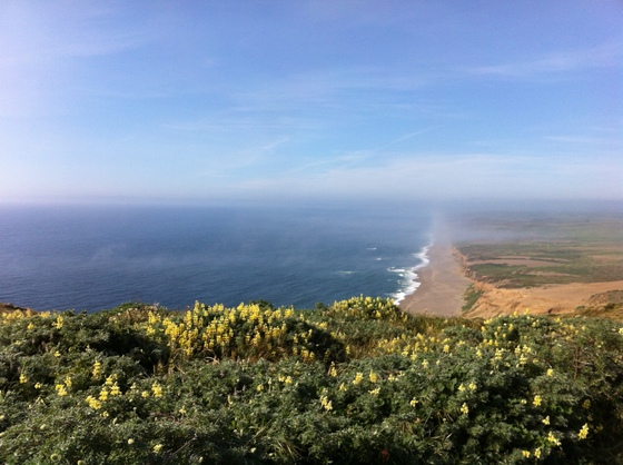 Point Reyes National Seashore