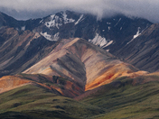 Denali National Park