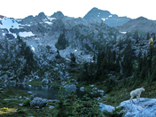 Olympic National Park