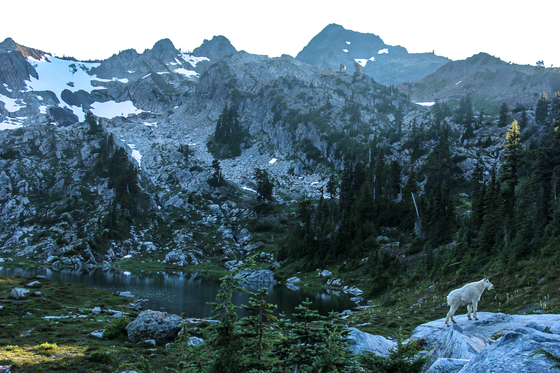 Olympic National Park
