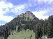 mount rainer / tipsoo trail 