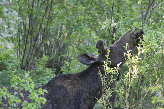 Rocky Mountain National Park