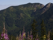 Jewel Basin Hiking Area - Flathead National Forest
